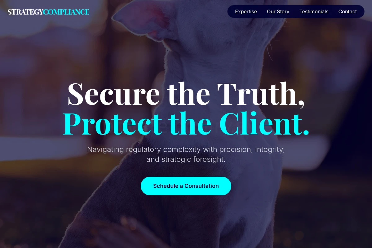 Strategy Compliance Consulting